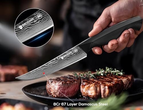 Dark Horse Series Steak Knives Set of 8, 4.5 Inch Damascus, Rust Resistant 67-Layer Steel